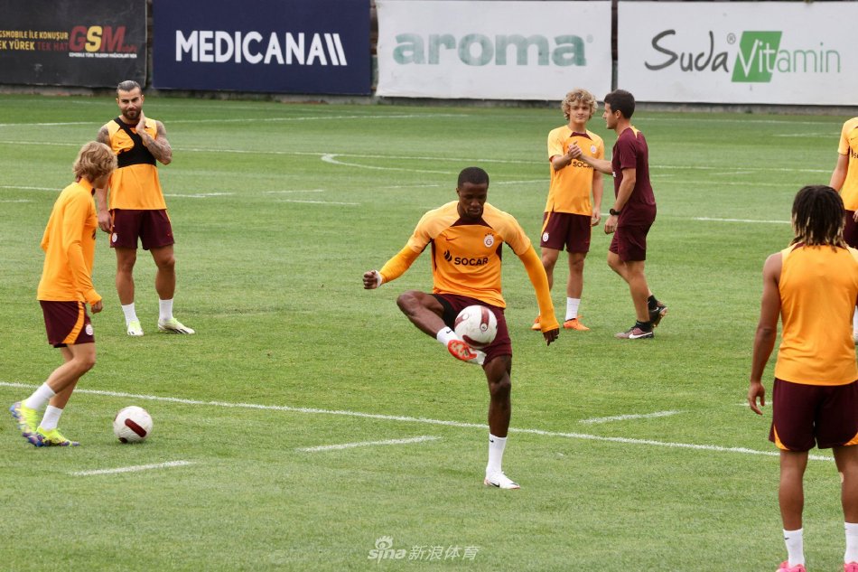 这种运动对 这种运动对